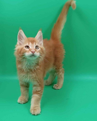 0EDEC1E7-FC56-48AC-88E5-5C2BBEBC9D30