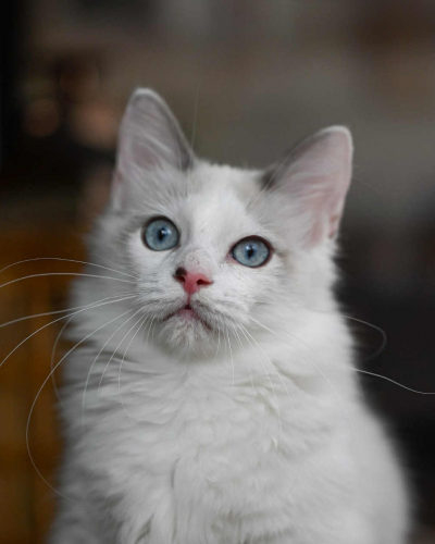 0F035111-4589-457F-99FD-318CCCC2A593