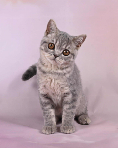 0F5D3C8F-AF40-4628-8100-16DCFBE052DF