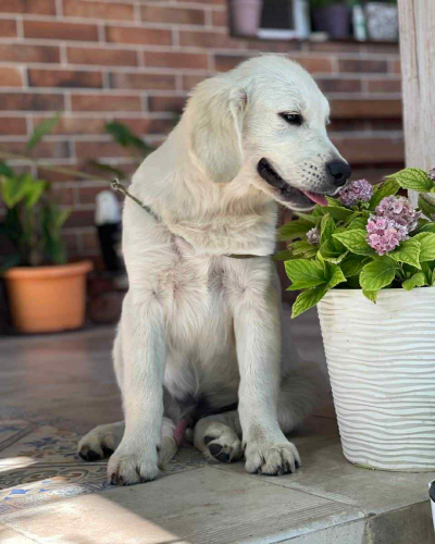 0FD09D67-7538-4F02-A257-D4DCF377D4AA