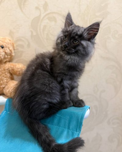 0b03f82e-d2aa-47de-bce5-5ab90f6a4d33