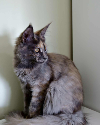 10C39012-74E0-4638-834A-678712FA2C37