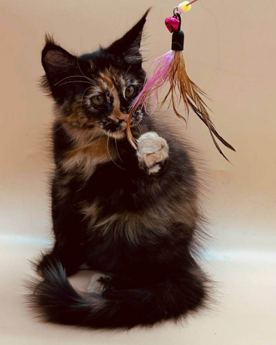 11E391EF-0B10-4660-A7D3-236C07A375CF