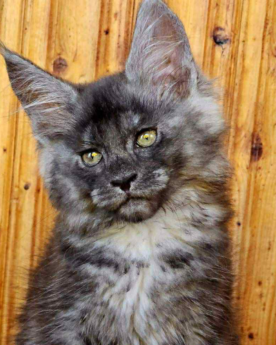 12E94BF3-F35D-49A9-A815-B4AE49B3EF9D