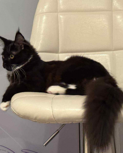 137C4DD6-625C-4C1B-AB60-8230A81DCE48