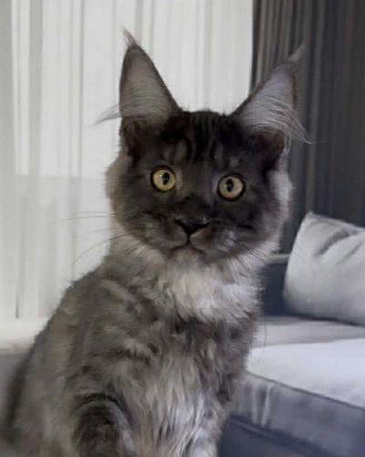 139DF617-7656-4F16-8ABD-B3DD867279F1