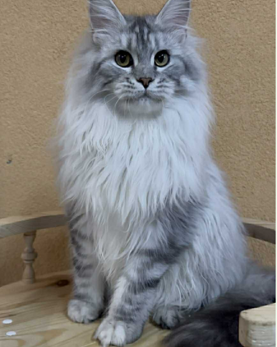 15753678-09F8-4007-924C-5AFF5AFDF3E7