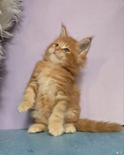 15ddc65e-8ddb-43bb-b6b2-972114257627