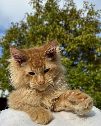 16DF6216-B44E-4A59-9550-6D75FC3ABD96