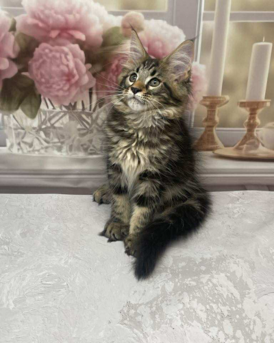 171C6CF7-A2D2-40E4-BD9C-69EA6B3EBC1D