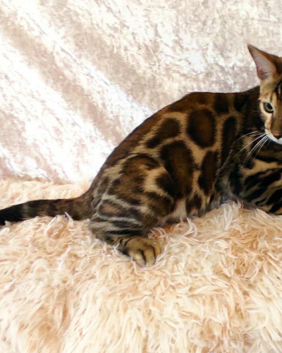 17369DB2-686A-45D1-A699-73EC13994C5F