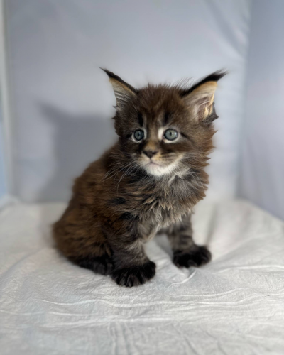 17D36839-8CA9-4C3B-BBF5-91B66C797FCE