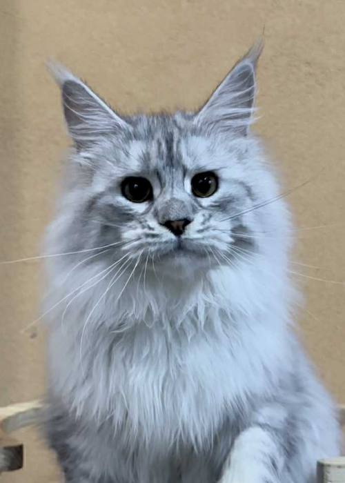 180099D4-B1D5-4F64-9C7F-22F3DC4B73AC