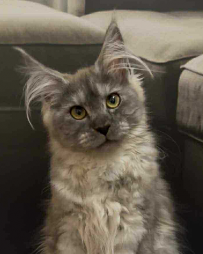 19061946-D941-4238-B1FA-98F878AD16CF