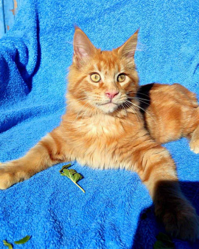 1D4CD31D-165D-44C5-A3EA-3A9D7ECED133