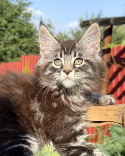 1FAFF086-CA3D-48FC-A84E-C84BC9C4E422