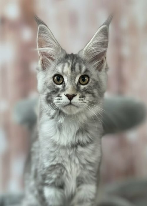 1f780bfc-b435-49d9-946d-ce2a00a12e82