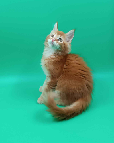 206D59AE-136F-4603-878D-2C3A4FFE3D42