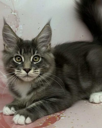 208f02eb-4e14-41b5-aad8-b7dd15c270d1