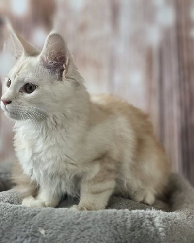 218dc6a9-e40f-45f3-91e7-e04164d9290a