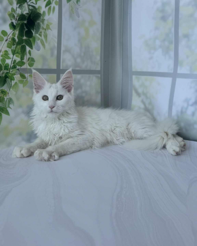 21A67961-94D9-4E1C-82B5-450EA67A8105