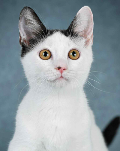 21B4C1D0-7C47-46AA-BA52-C459FFDDC3CE