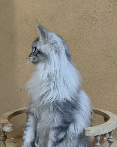 22351CC1-D6DE-4EA2-86FD-5351B15D88A2