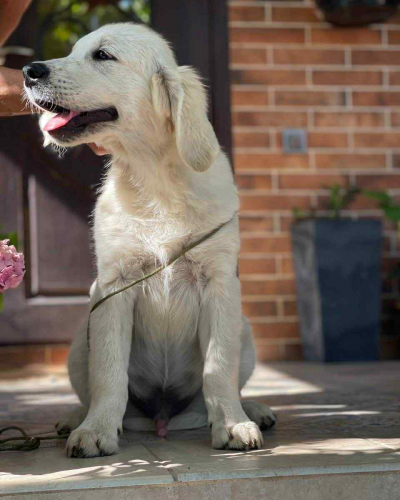 23EAFD73-5D5D-4F32-9569-699961A515CC