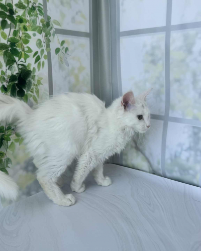 2404067D-FA54-4D15-ACE2-E71B79EB84F2