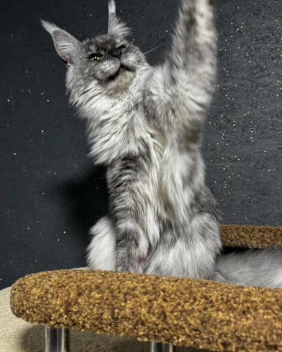 24A2C379-DF5F-4AC0-ADC5-5817FFACF664