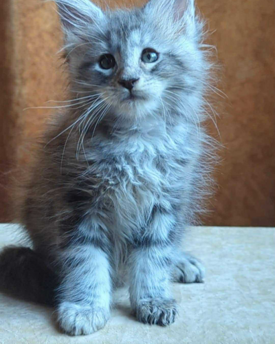 263BD204-B5D9-4200-8932-1781491BA984