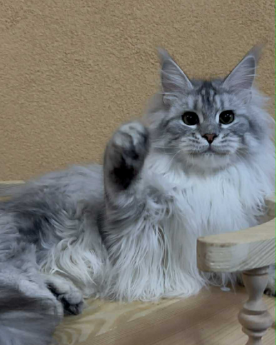 2668145C-7592-4D86-A627-1738B3BD1C34