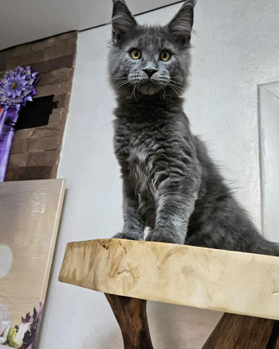 27669799-1441-49CD-9EF4-6F141EC66CD9