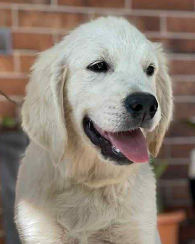 27DBC3AA-27D2-4D9C-B072-7C1F13EF5FBE