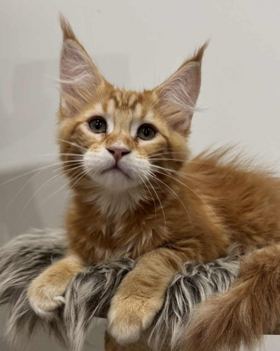 29022ABB-1FAF-4C35-8BE6-67F40C97C88C