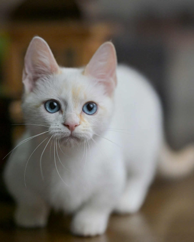 297D4FB8-B28F-4EC1-B319-4CED7331F858