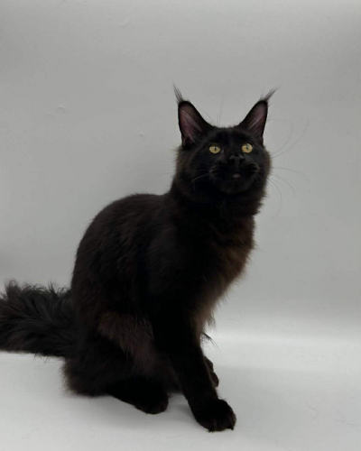 2A8AEAE8-BBBF-4606-9319-7FF4E67D6F50