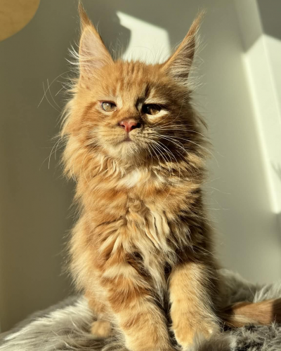 2C952535-847F-4221-9D0D-02E54A16AFB5