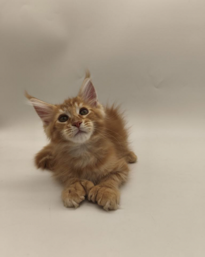 2CC2E9E7-48FF-4669-AF73-0ACA8B0444F7