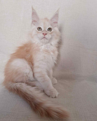 2D9CFAED-D5F1-4118-BFCE-06A58D0964BF