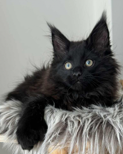 2E223DC8-B873-442E-933F-6845176D10C4