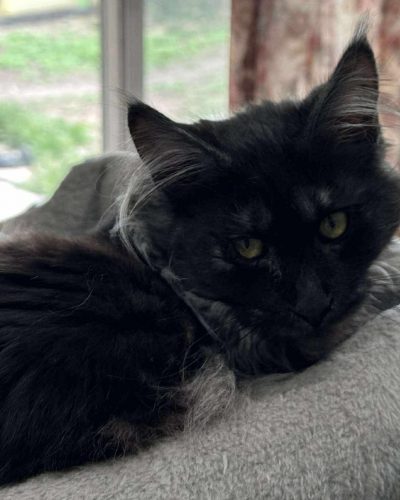 2F160F58-69A1-4730-8187-E8D429BFE388