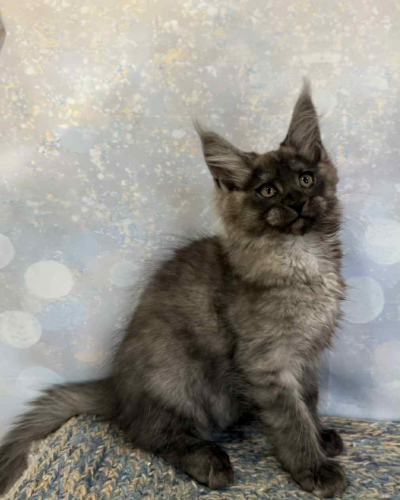 2F9763EB-3DB3-4459-831E-406351F0B7D9