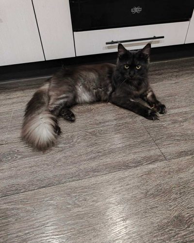 2a17db41-1003-4d2d-b637-714f5915539b