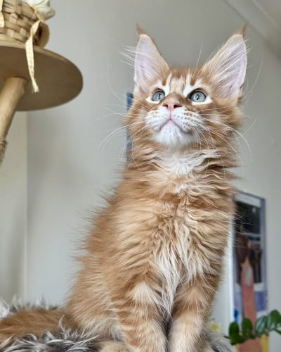 2a9c2d40-f9d1-41b1-ada3-f234b834db82