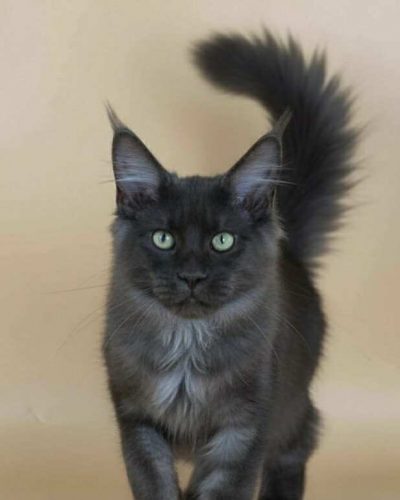 2d69f493-af60-4e07-bbc4-1903ce7768bc