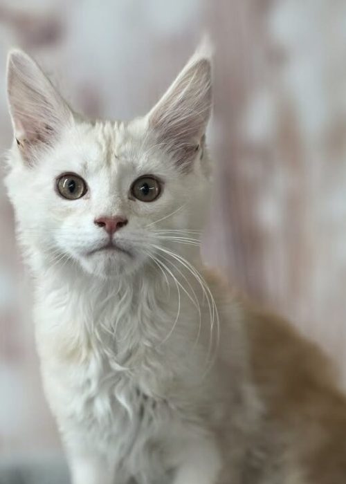 303c8e8b-1783-4a6d-a9ae-fe5f7910579e