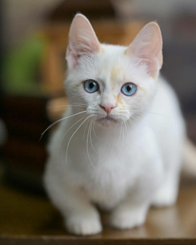 309B9D20-77AB-49CA-A49C-A644A11D79C2