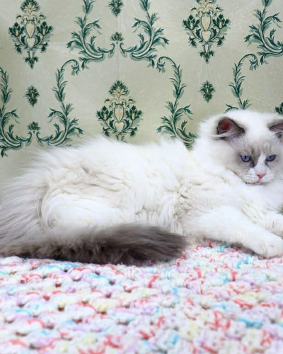 31DC0FA0-0C6F-4608-A7EC-EDEC9A75F545