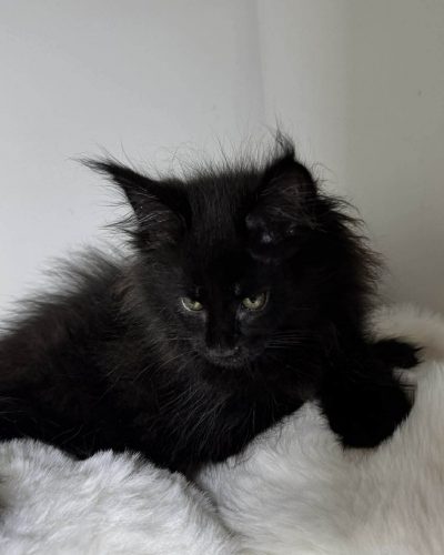 32050033-4a7a-4cdf-9d47-474d6312fef1